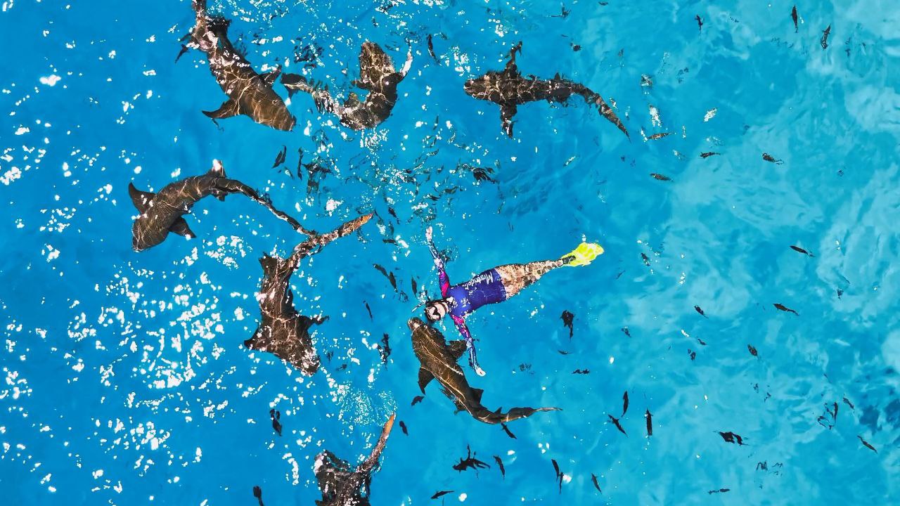 Sunset cruise on traditional Maldivian dhoni boat