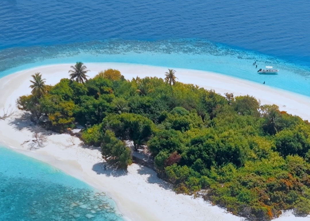 Boat diving in South Ari Atoll