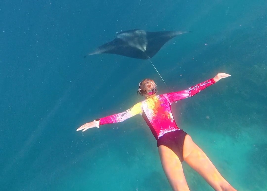 Manta ray snorkeling